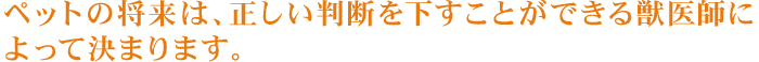 ペットの将来は、正しい判断を下すことができる獣医師によって決まります。